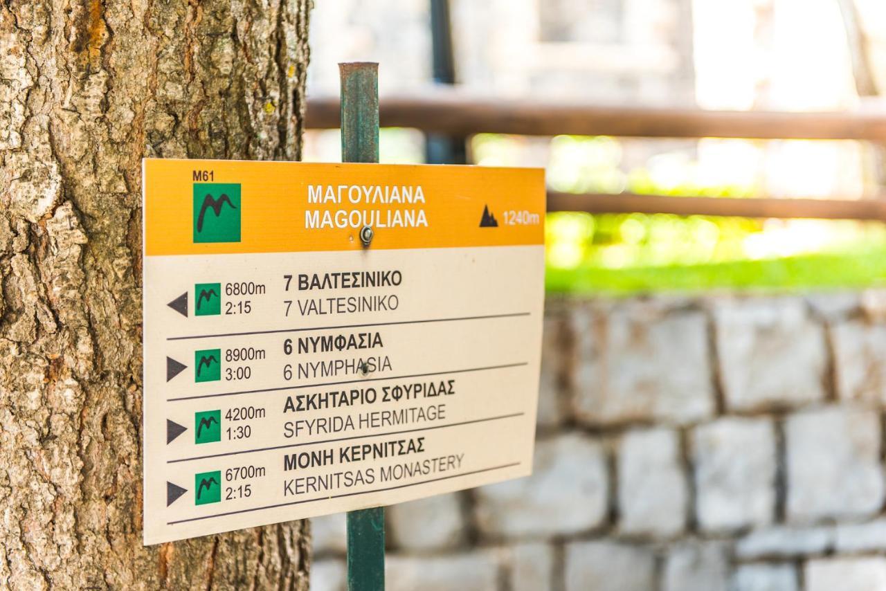 Appartement «Σκλάβας Χνάρι» Παραδοσιακός Ξενώνας à Magouliana Extérieur photo